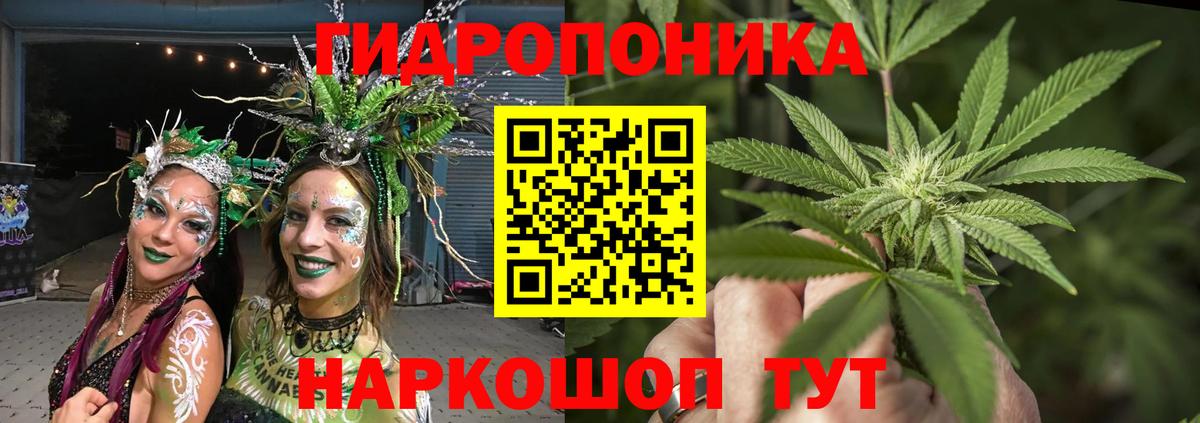 Острогожск  Бошки марихуана OG Kush  Бошки марихуана OG Kush  Вход с VPN 